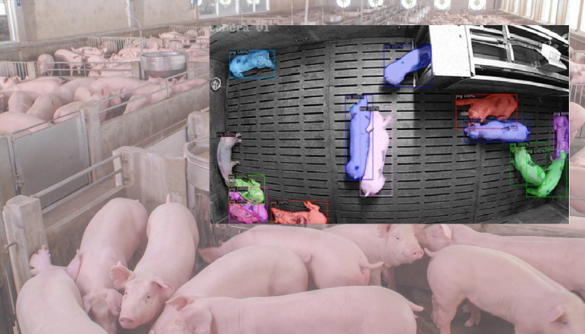 Soluções para Agronegócio - Mosaico 3